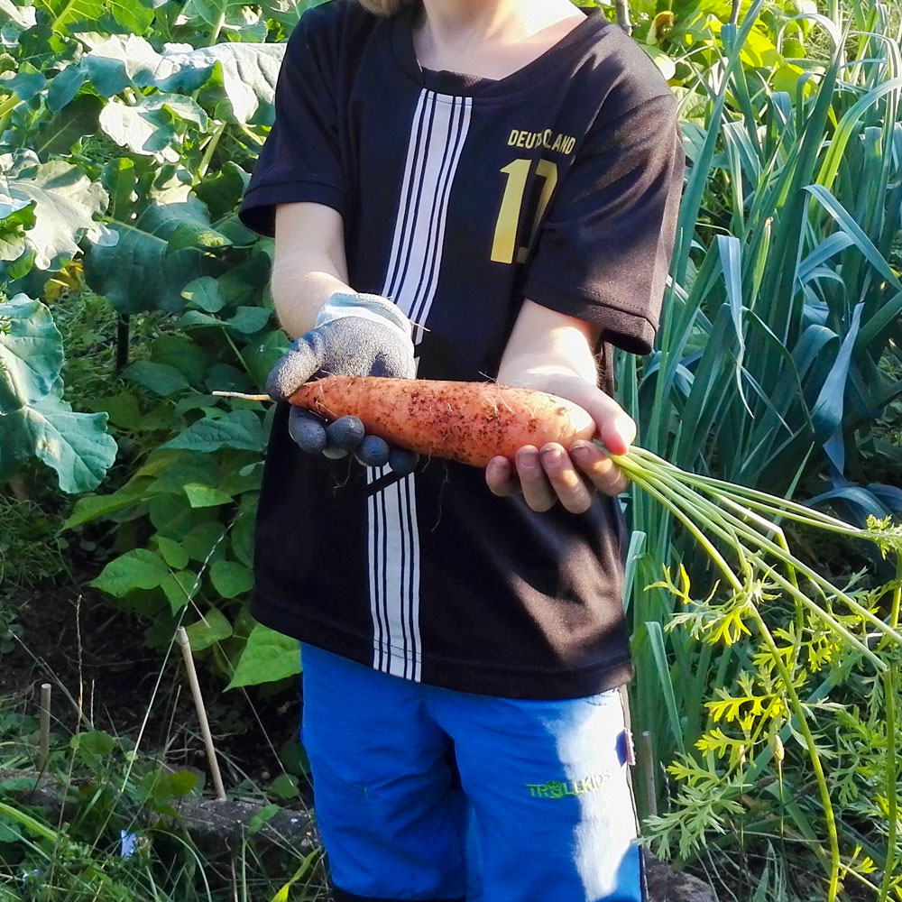 Kind mit großer Möhre/Karotte